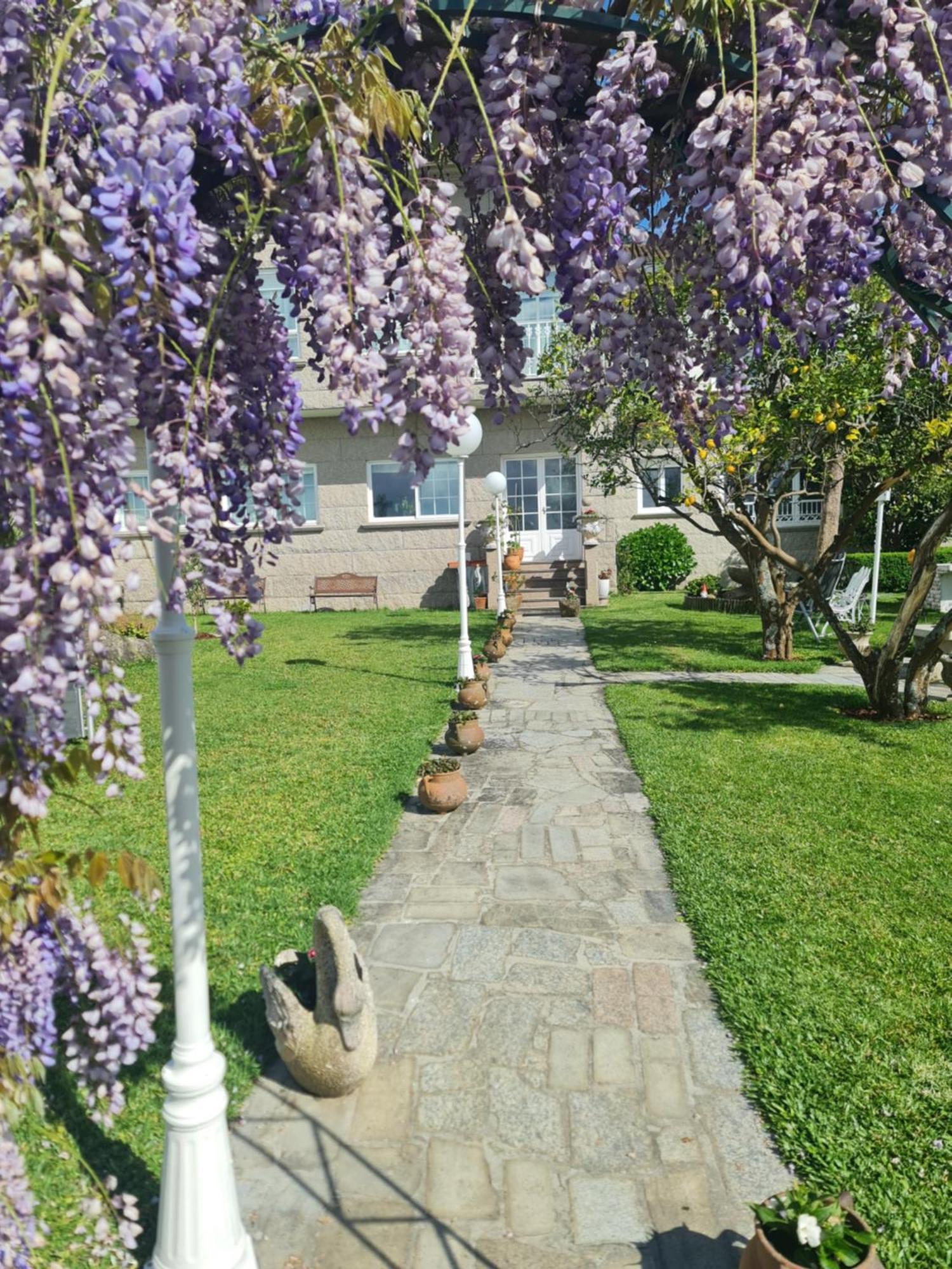 Casa A Pastora ξενώνας Cambados Εξωτερικό φωτογραφία